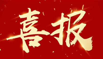 喜訊┃集團(tuán)黨委書(shū)記、董事長(zhǎng)向誠(chéng)榮獲市委表彰