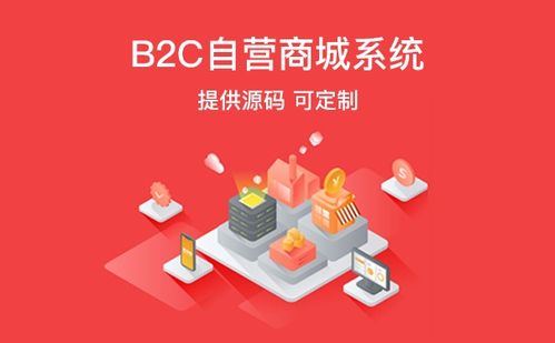 开发B2B电商系统需要注意什么